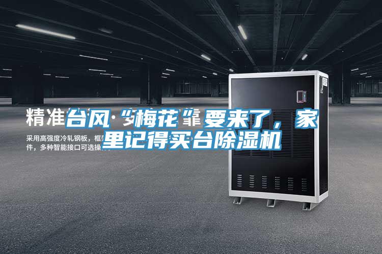 台風“梅花”要來了，家裏記得買台杏仁视频APP成人官方污