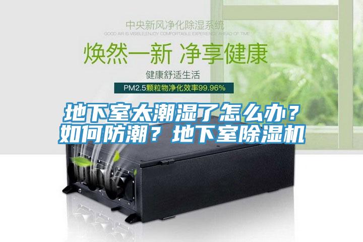 地下室太潮濕了怎麽辦？如何防潮？地下室杏仁视频APP成人官方污