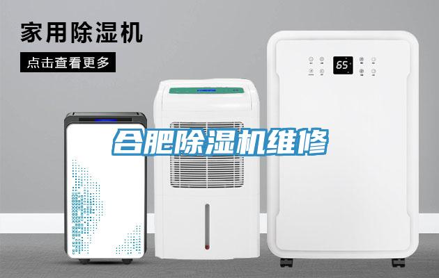 合肥杏仁视频APP成人官方污維修