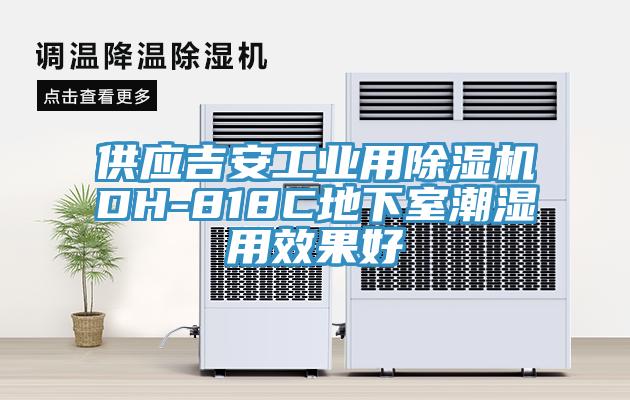 供應吉安工業用杏仁视频APP成人官方污DH-818C地下室潮濕用效果好