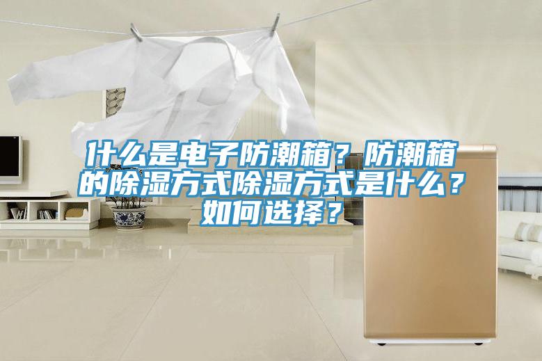 什麽是電子防潮箱？防潮箱的除濕方式除濕方式是什麽？如何選擇？