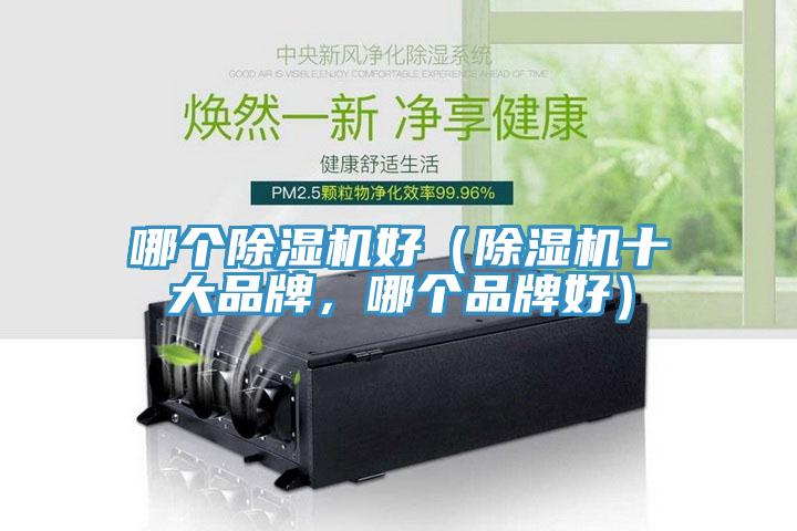 哪個杏仁视频APP成人官方污好（杏仁视频APP成人官方污十大品牌，哪個品牌好）