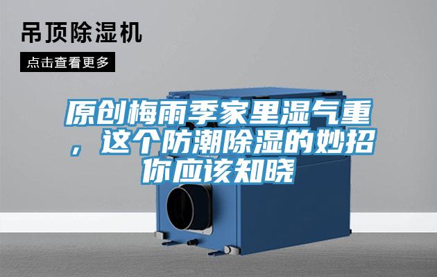 原創梅雨季家裏濕氣重，這個防潮除濕的妙招你應該知曉