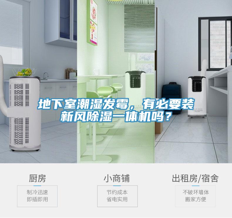 地下室潮濕發黴，有必要裝新風除濕一體機嗎？