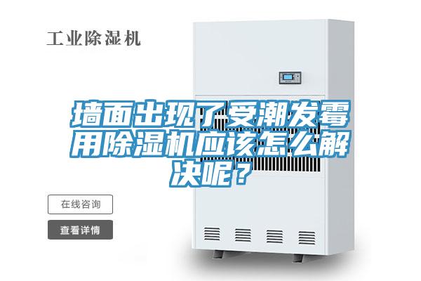 牆麵出現了受潮發黴用杏仁视频APP成人官方污應該怎麽解決呢？