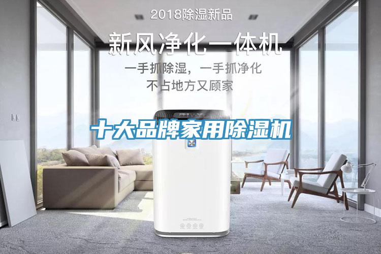 十大品牌家用杏仁视频APP成人官方污