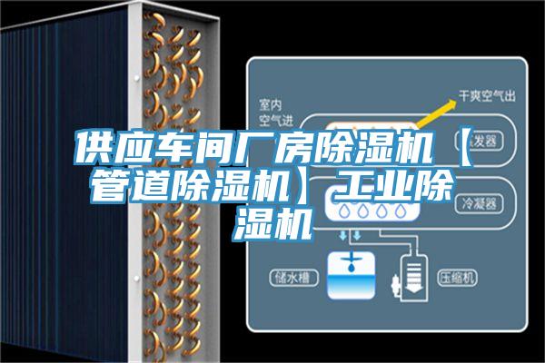 供應車間廠房杏仁视频APP成人官方污【管道杏仁视频APP成人官方污】工業杏仁视频APP成人官方污