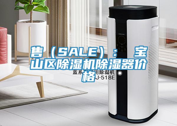 售（SALE）： 寶山區杏仁视频APP成人官方污除濕器價格