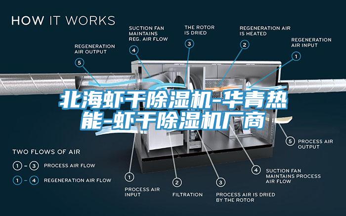北海蝦幹杏仁视频APP成人官方污-華青熱能-蝦幹杏仁视频APP成人官方污廠商