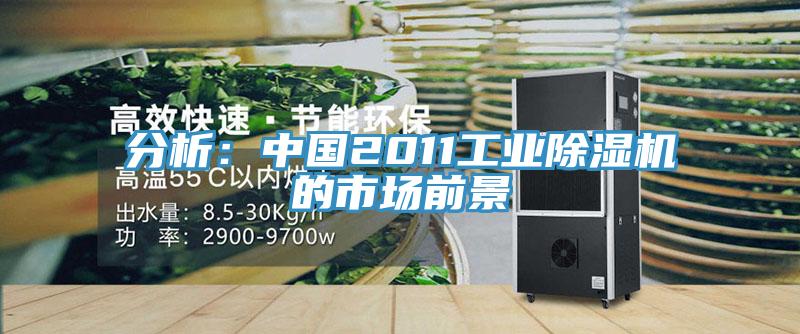 分析：中國2011工業杏仁视频APP成人官方污的市場前景