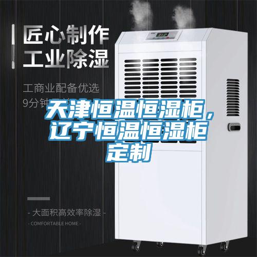 天津恒溫恒濕櫃，遼寧恒溫恒濕櫃定製