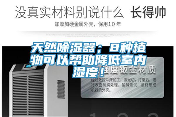 天然除濕器；8種植物可以幫助降低室內濕度！