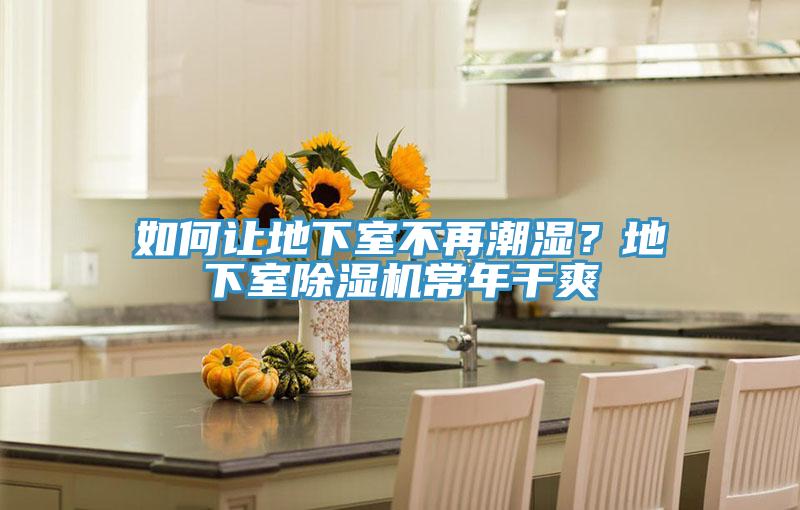 如何讓地下室不再潮濕？地下室杏仁视频APP成人官方污常年幹爽