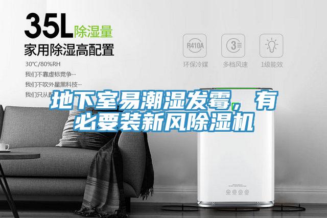 地下室易潮濕發黴，有必要裝新風杏仁视频APP成人官方污