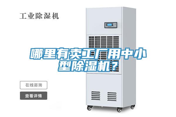 哪裏有賣工廠用中小型杏仁视频APP成人官方污？