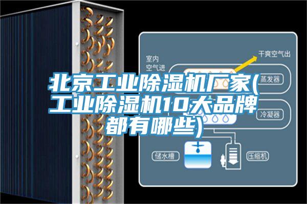 北京工業杏仁视频APP成人官方污廠家(工業杏仁视频APP成人官方污10大品牌都有哪些)