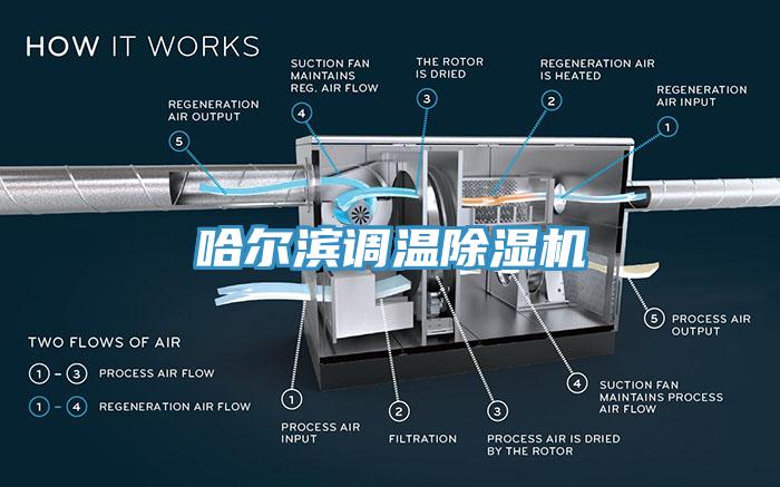 哈爾濱調溫杏仁视频APP成人官方污