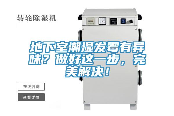 地下室潮濕發黴有異味？做好這一步，完美解決！