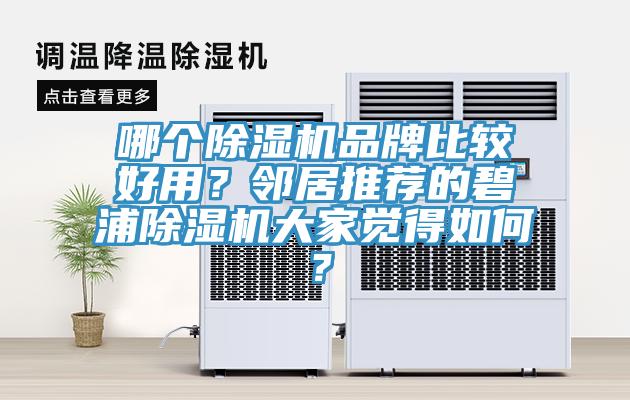 哪個杏仁视频APP成人官方污品牌比較好用？鄰居推薦的碧浦杏仁视频APP成人官方污大家覺得如何？