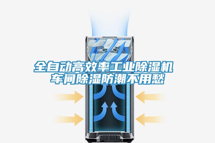 全自動高效率工業杏仁视频APP成人官方污 車間除濕防潮不用愁