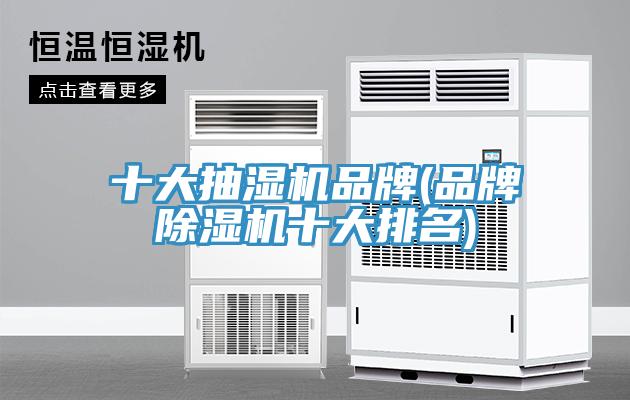 十大抽濕機品牌(品牌杏仁视频APP成人官方污十大排名)