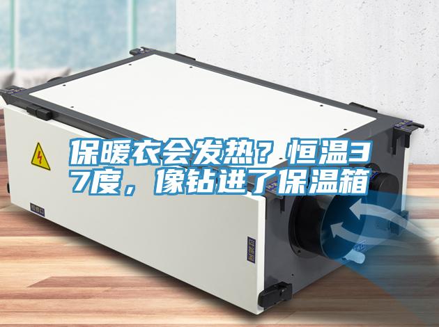保暖衣會發熱？恒溫37度，像鑽進了保溫箱