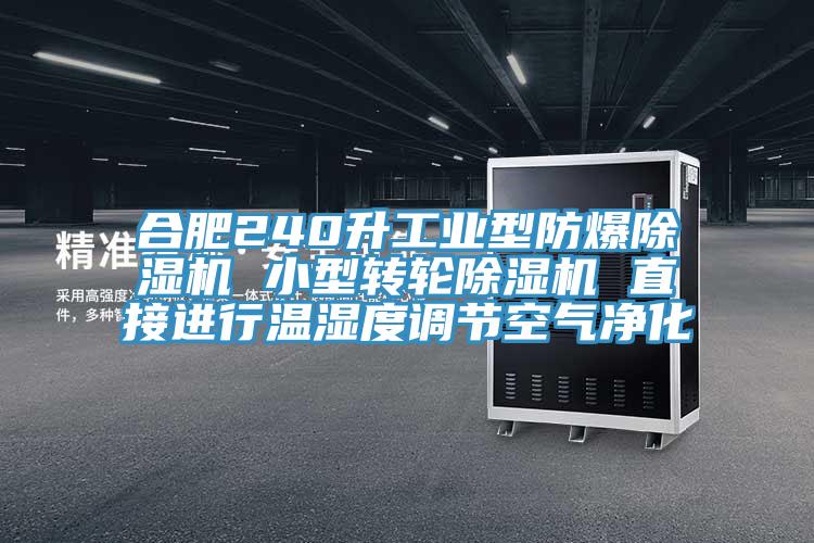 合肥240升工業型防爆杏仁视频APP成人官方污 小型轉輪杏仁视频APP成人官方污 直接進行溫濕度調節空氣淨化