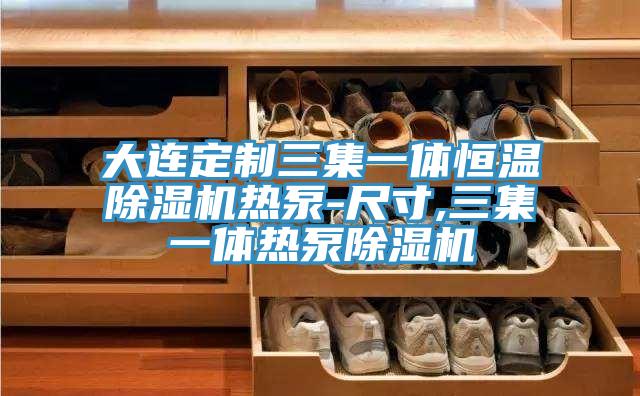 大連定製三集一體恒溫杏仁视频APP成人官方污熱泵-尺寸,三集一體熱泵杏仁视频APP成人官方污