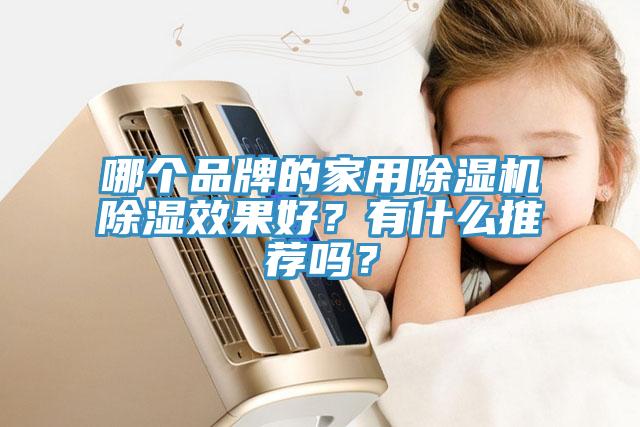 哪個品牌的家用杏仁视频APP成人官方污除濕效果好？有什麽推薦嗎？
