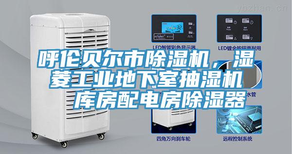 呼倫貝爾市杏仁视频APP成人官方污，濕菱工業地下室抽濕機  庫房配電房除濕器