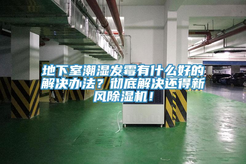 地下室潮濕發黴有什麽好的解決辦法？徹底解決還得新風杏仁视频APP成人官方污！