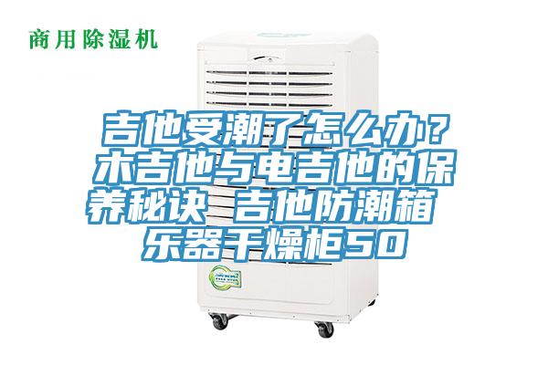 吉他受潮了怎麽辦？木吉他與電吉他的保養秘訣 吉他防潮箱 樂器幹燥櫃50