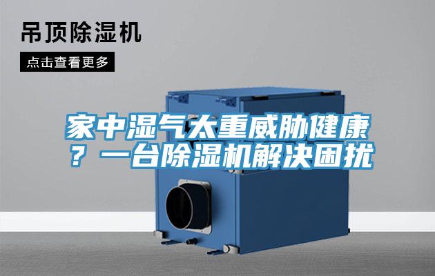家中濕氣太重威脅健康？一台杏仁视频APP成人官方污解決困擾