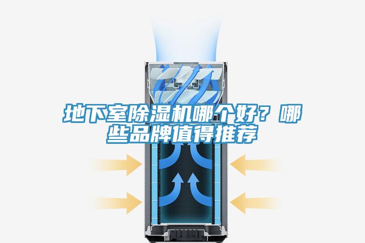 地下室杏仁视频APP成人官方污哪個好？哪些品牌值得推薦