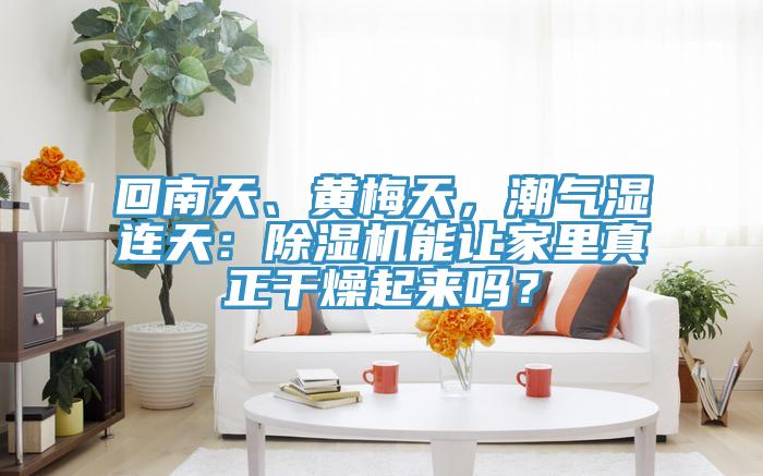 回南天、黃梅天，潮氣濕連天：杏仁视频APP成人官方污能讓家裏真正幹燥起來嗎？