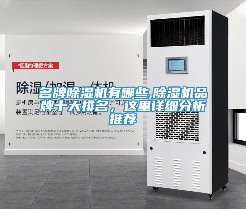 名牌杏仁视频APP成人官方污有哪些,杏仁视频APP成人官方污品牌十大排名，這裏詳細分析推薦