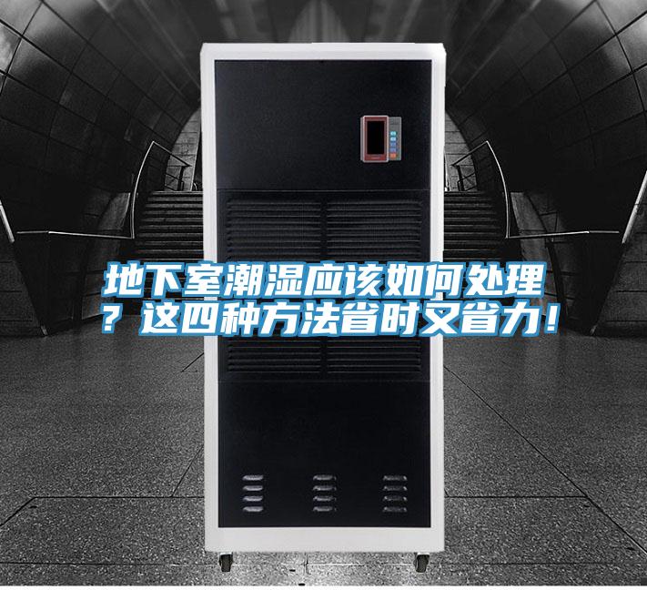 地下室潮濕應該如何處理？這四種方法省時又省力！