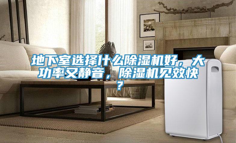 地下室選擇什麽杏仁视频APP成人官方污好，大功率又靜音，杏仁视频APP成人官方污見效快？