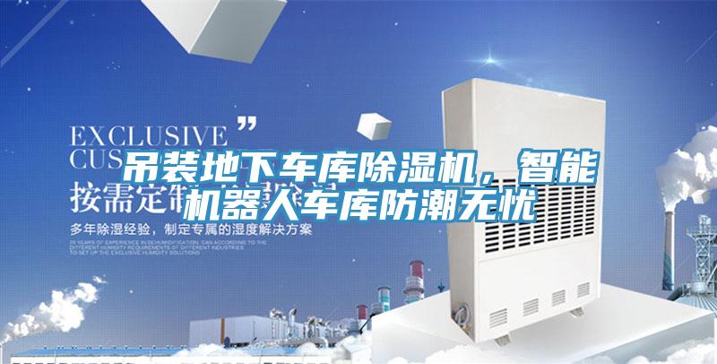 吊裝地下車庫杏仁视频APP成人官方污，智能機器人車庫防潮無憂