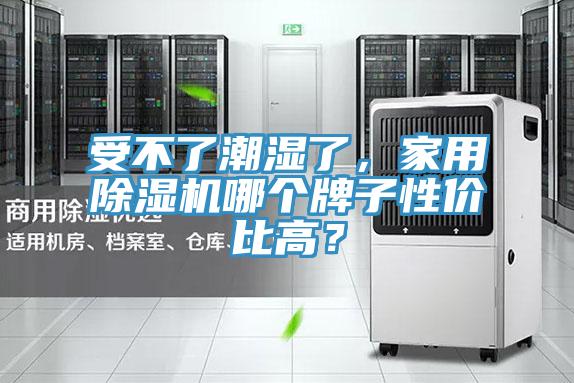 受不了潮濕了，家用杏仁视频APP成人官方污哪個牌子性價比高？
