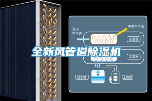 全新風管道杏仁视频APP成人官方污
