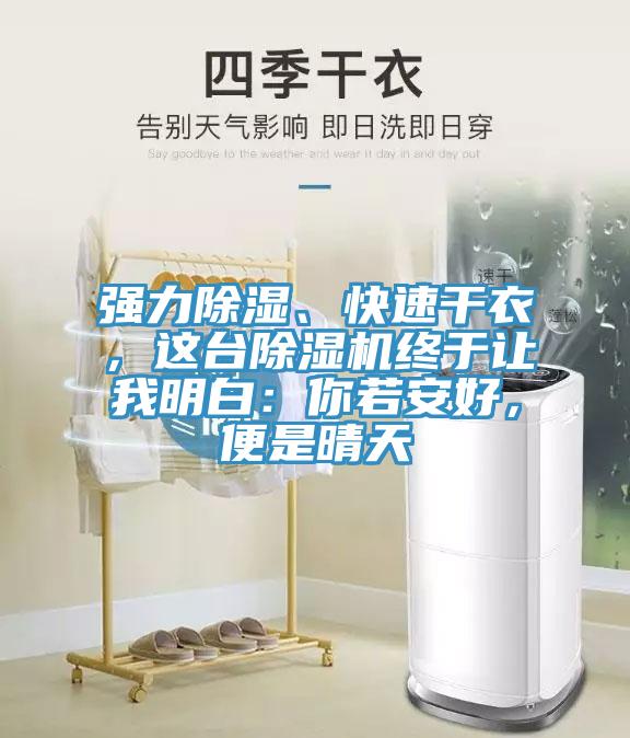 強力除濕、快速幹衣，這台杏仁视频APP成人官方污終於讓我明白：你若安好，便是晴天