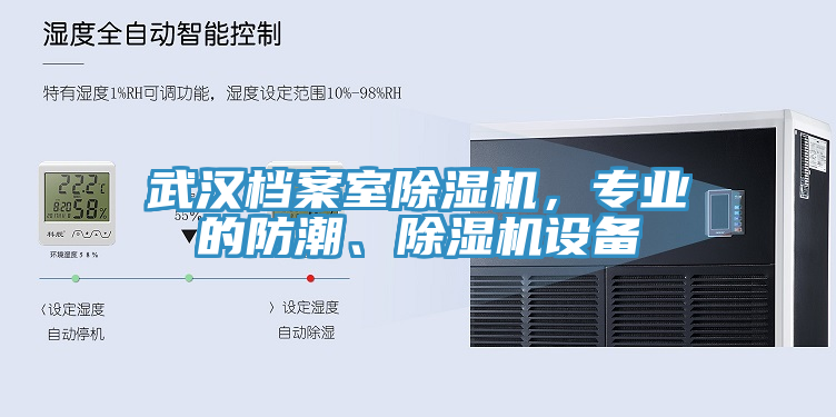 武漢檔案室杏仁视频APP成人官方污，專業的防潮、杏仁视频APP成人官方污設備