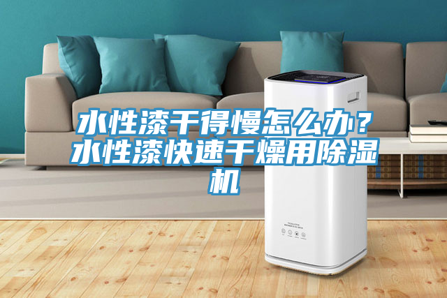 水性漆幹得慢怎麽辦？水性漆快速幹燥用杏仁视频APP成人官方污