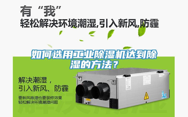 如何選用工業杏仁视频APP成人官方污達到除濕的方法？