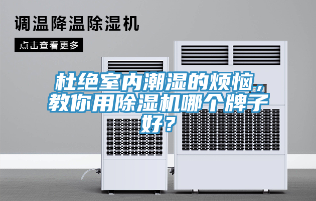 杜絕室內潮濕的煩惱，教你用杏仁视频APP成人官方污哪個牌子好？