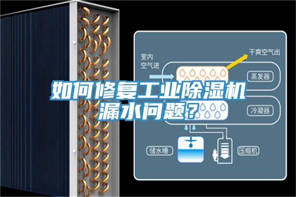如何修複工業杏仁视频APP成人官方污漏水問題？