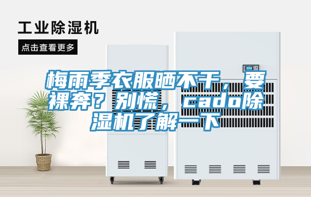 梅雨季衣服曬不幹，要裸奔？別慌，cado杏仁视频APP成人官方污了解一下