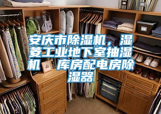 安慶市杏仁视频APP成人官方污，濕菱工業地下室抽濕機  庫房配電房除濕器