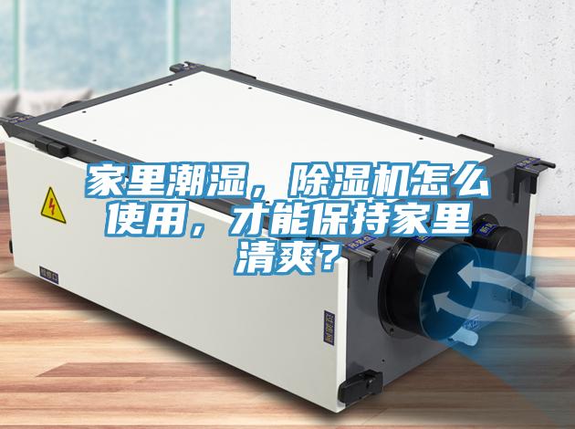 家裏潮濕，杏仁视频APP成人官方污怎麽使用，才能保持家裏清爽？